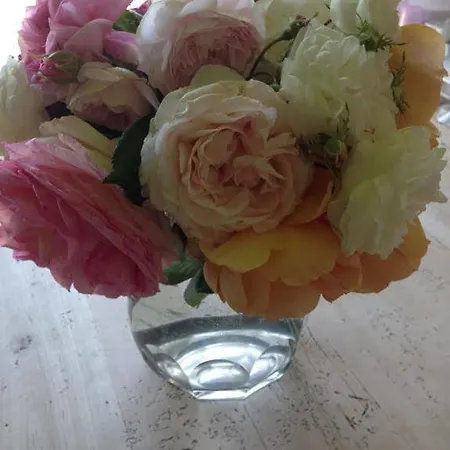 Il Segreto Di Milia Hotel 3*