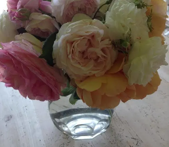 Il Segreto Di Milia מלון 3*